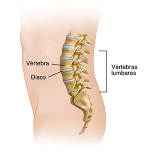 Vista lateral de una figura masculina donde se observa la anatomía de la columna lumbar.